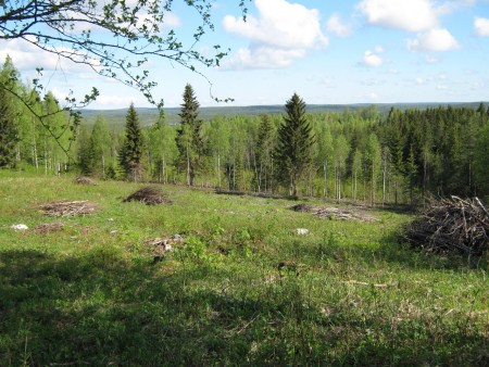 Perinnemaiseman alkuraivausta.