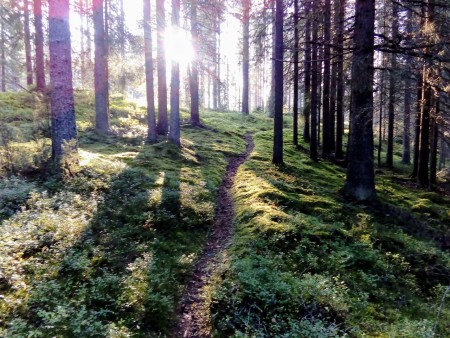 Polku Vastasmännikön muinaiskalmistolle