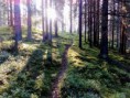 /album/kuvagalleria-aktiviteetteja/img-20170906-081552-jpg/